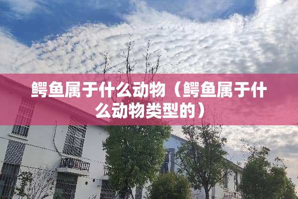 鳄鱼属于什么动物（鳄鱼属于什么动物类型的）