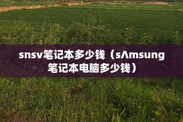 snsv笔记本多少钱（s∧msung笔记本电脑多少钱）