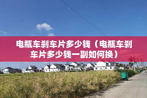 电瓶车刹车片多少钱（电瓶车刹车片多少钱一副如何换）