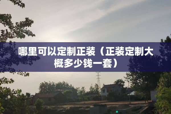 哪里可以定制正装（正装定制大概多少钱一套）