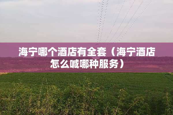 海宁哪个酒店有**（海宁酒店怎么喊哪种服务）