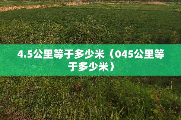 4.5公里等于多少米（045公里等于多少米）