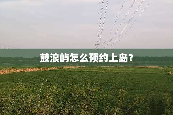 鼓浪屿怎么预约上岛？