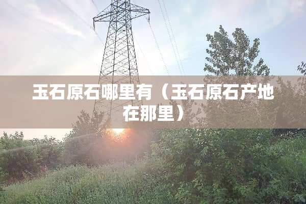 玉石原石哪里有（玉石原石产地在那里）