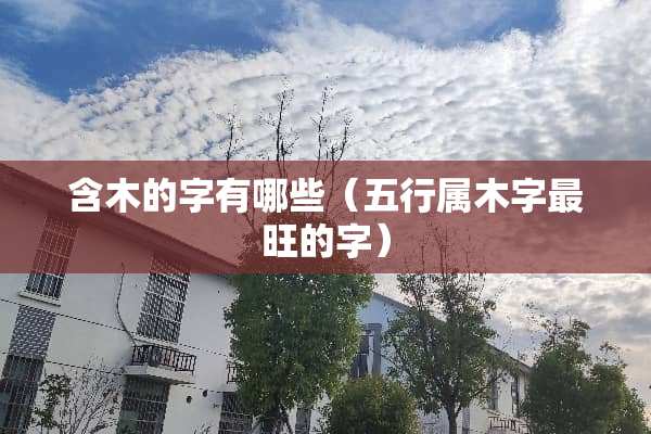 含木的字有哪些（五行属木字最旺的字）