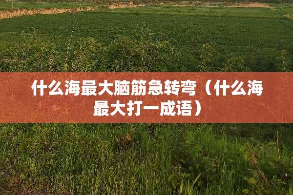 什么海最大脑筋急转弯（什么海最大打一成语）