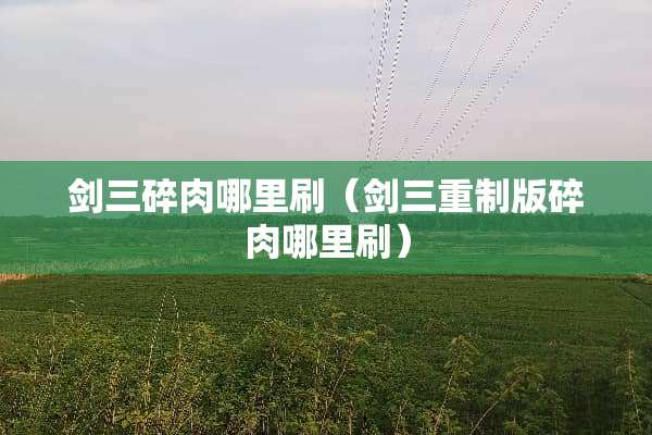 剑三碎肉哪里刷（剑三重制版碎肉哪里刷）