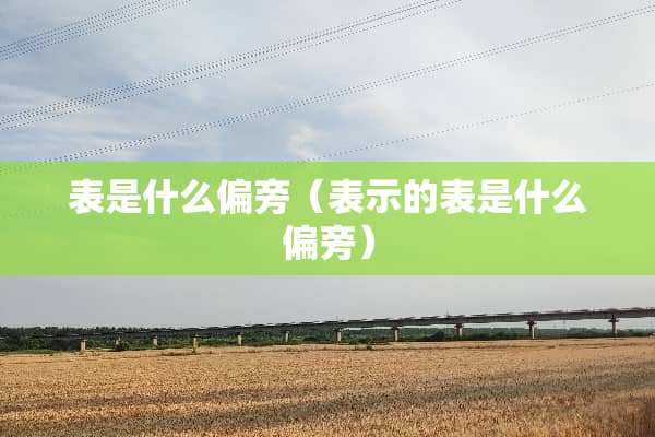 表是什么偏旁（表示的表是什么偏旁）