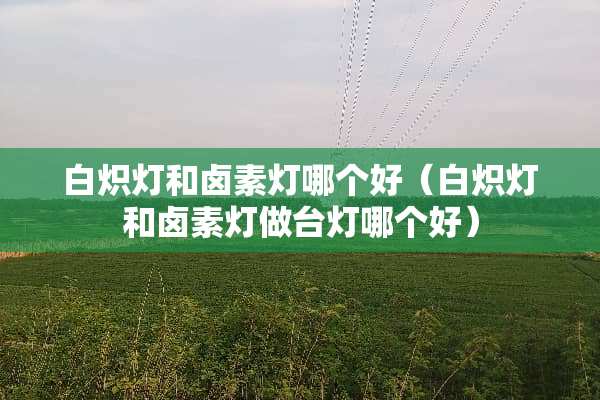 白炽灯和卤素灯哪个好（白炽灯和卤素灯**灯哪个好）
