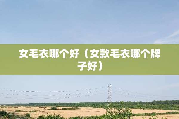 女毛衣哪个好（女款毛衣哪个牌子好）