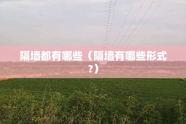隔墙都有哪些（隔墙有哪些形式?）