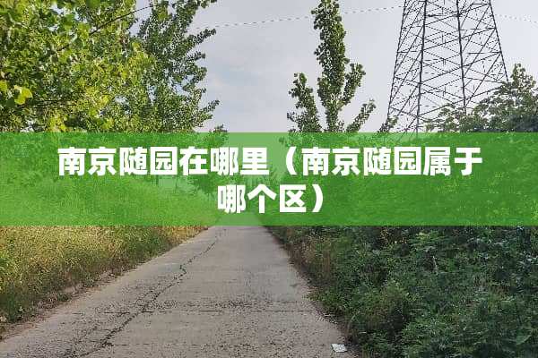 南京随园在哪里（南京随园属于哪个区）