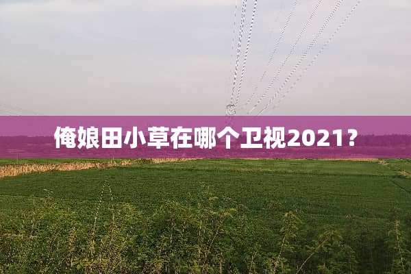俺娘田小草在哪个卫视2021？