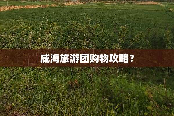 威海旅游团购物攻略？