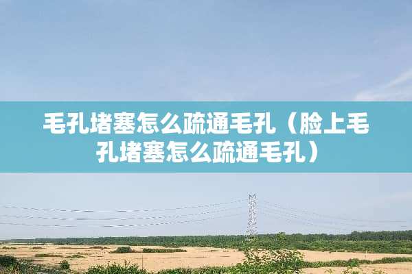 毛孔堵塞怎么疏通毛孔（脸上毛孔堵塞怎么疏通毛孔）