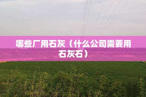 哪些厂用石灰（什么公司需要用石灰石）