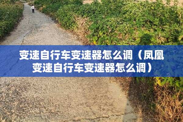 变速自行车变速器怎么调（凤凰变速自行车变速器怎么调）