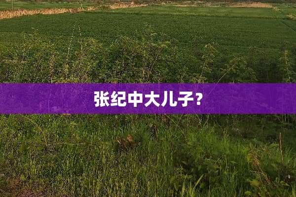 张纪中大儿子？