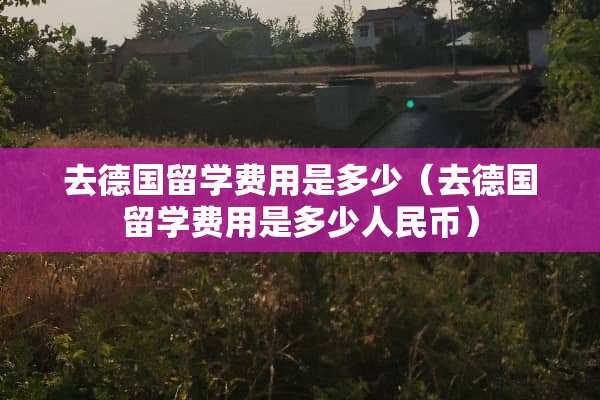 去德国留学费用是多少（去德国留学费用是多少人民币）