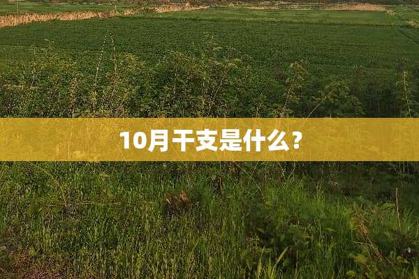 10月干支是什么？