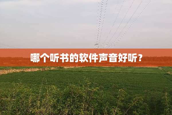 哪个听书的软件声音好听？