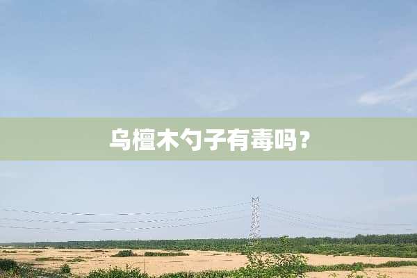 乌檀木勺子有毒吗？