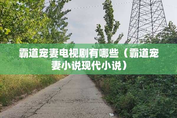 霸道宠妻电视剧有哪些（霸道宠妻小说现代小说）