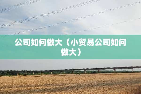 公司如何做大（小贸易公司如何做大）