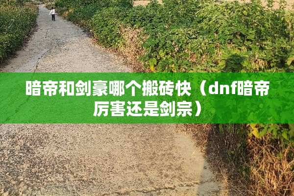暗帝和剑豪哪个搬砖快（dnf暗帝厉害还是剑宗）
