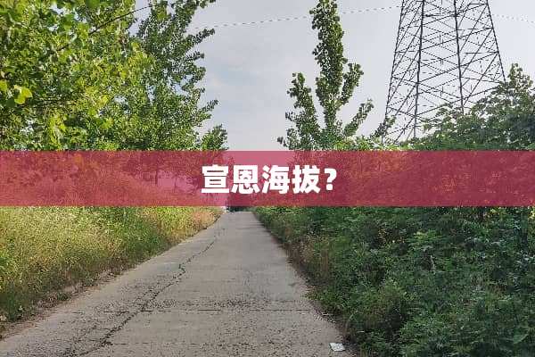 宣恩海拔？