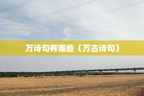 万诗句有哪些（万古诗句）