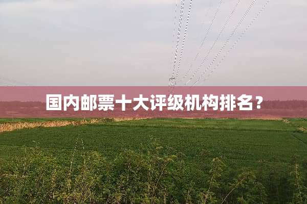 国内邮票十大评级机构排名？