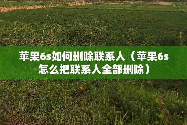 苹果6s如何删除联系人（苹果6s怎么把联系人全部删除）