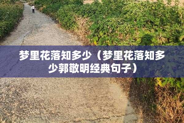 梦里花落知多少（梦里花落知多少郭敬明经典句子）
