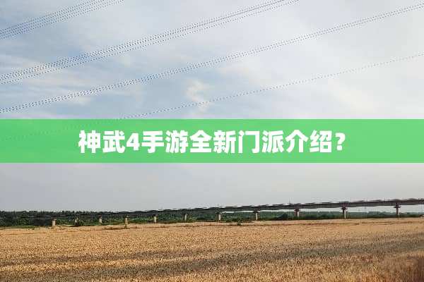 神武4手游全新门派介绍？
