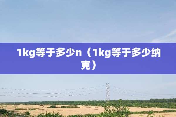 1kg等于多少n（1kg等于多少纳克）