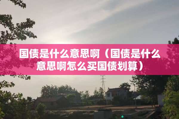 国债是什么意思啊（国债是什么意思啊怎么买国债划算）
