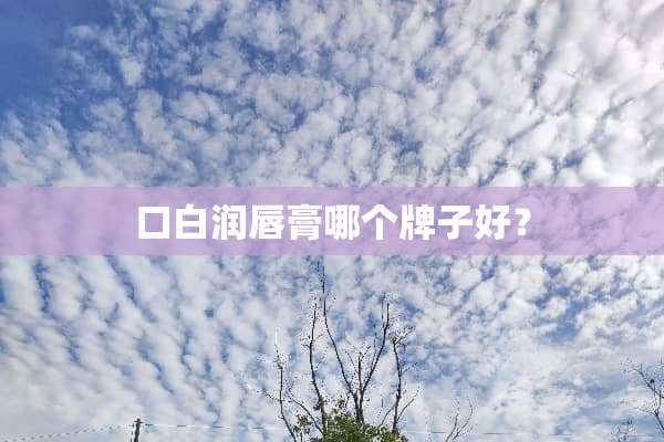 口白润唇膏哪个牌子好？