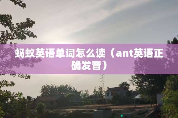 蚂蚁英语单词怎么读（ant英语正确发音）