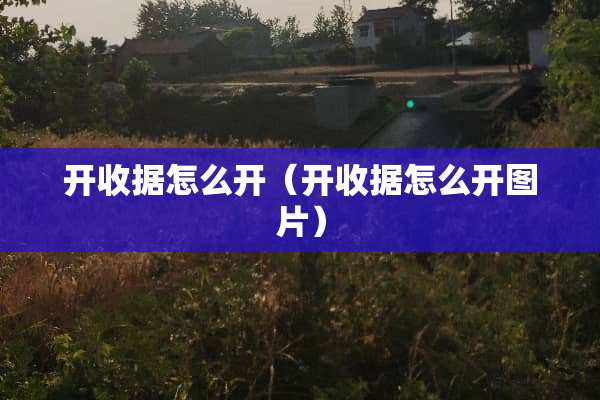 开收据怎么开（开收据怎么开图片）