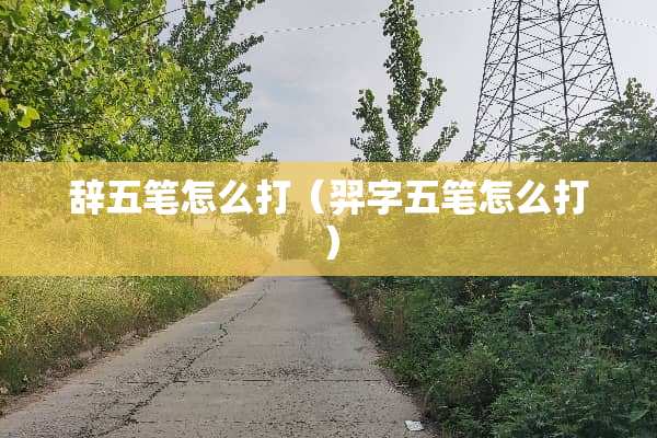 辞五笔怎么打（羿字五笔怎么打）