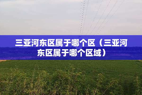 三亚河东区属于哪个区（三亚河东区属于哪个区域）