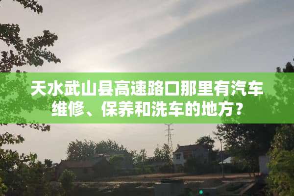 天水武山县高速路口那里有汽车维修、保养和洗车的地方？