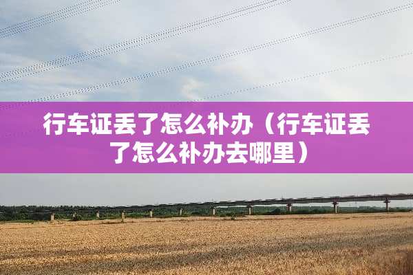 行车证丢了怎么补办（行车证丢了怎么补办去哪里）
