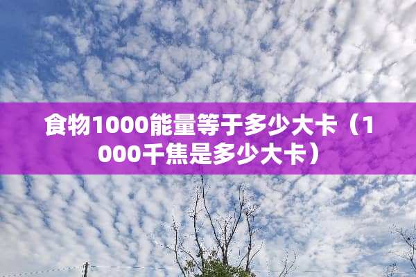 食物1000能量等于多少大卡（1000千焦是多少大卡）