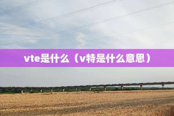 vte是什么（v特是什么意思）