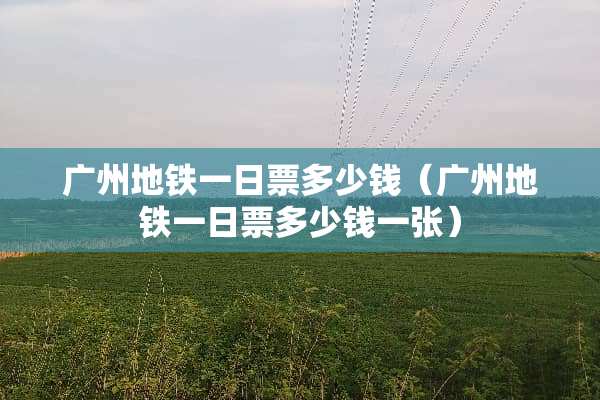 广州地铁一日票多少钱（广州地铁一日票多少钱一张）