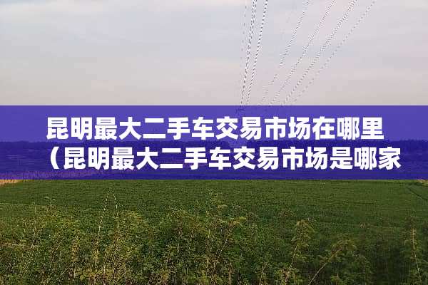 昆明最大二手车交易市场在哪里（昆明最大二手车交易市场是哪家）