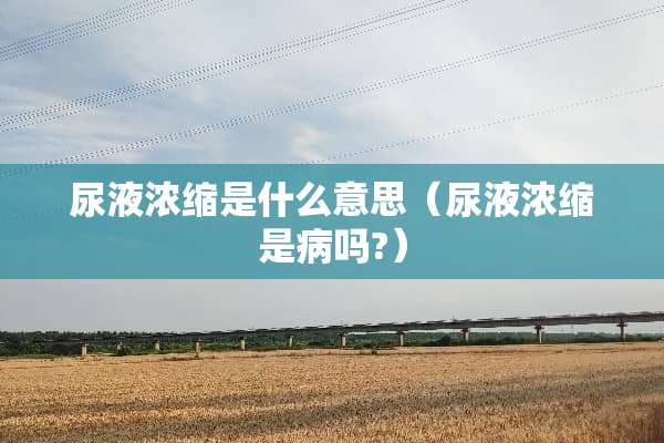 尿液浓缩是什么意思（尿液浓缩是病吗?）