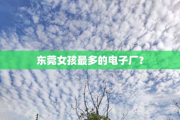 东莞女孩最多的电子厂？